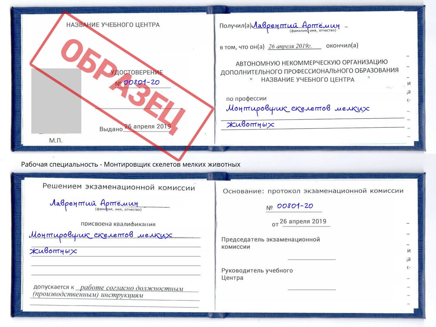 Монтировщик скелетов мелких животных Саров
