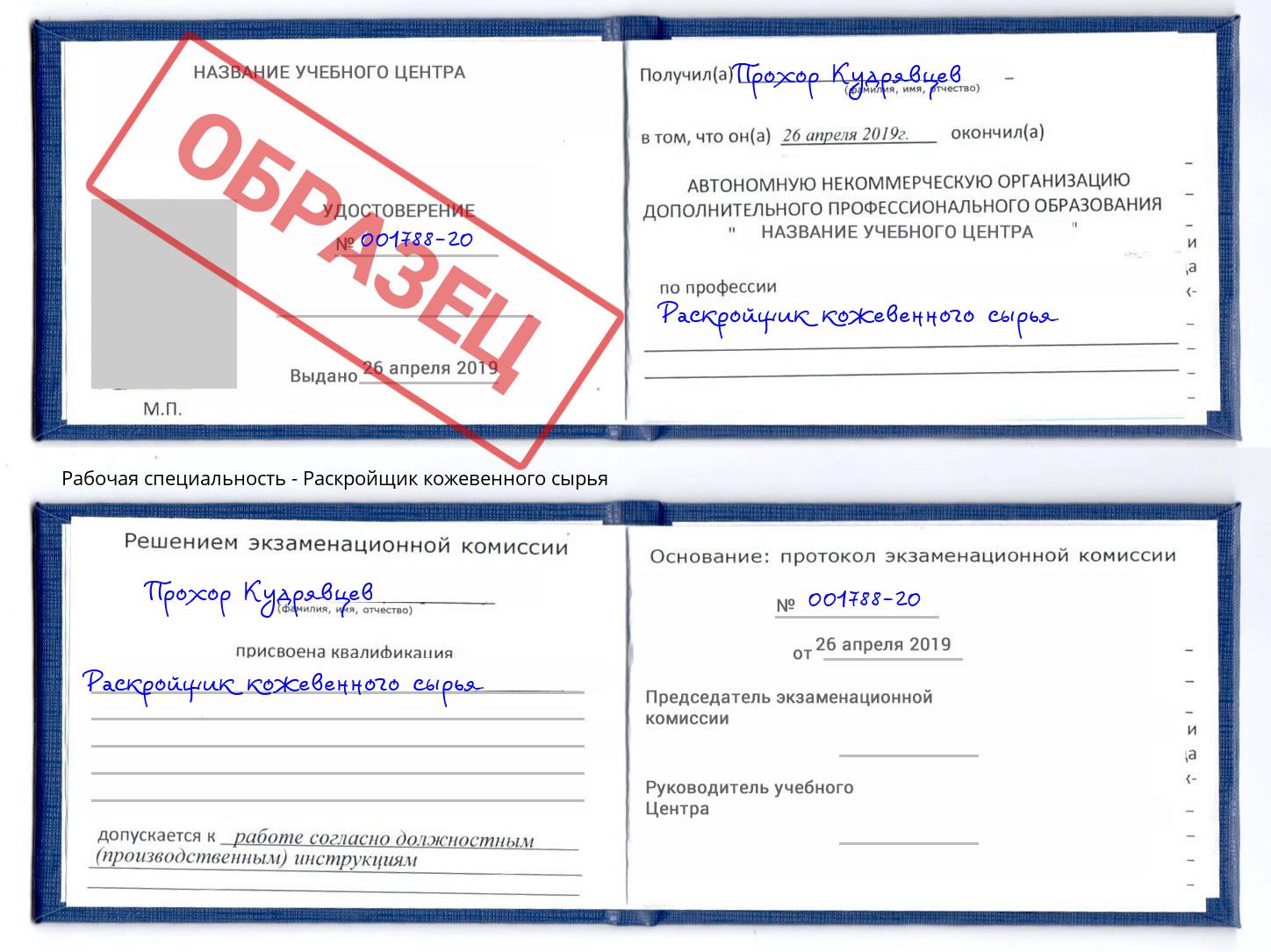 Раскройщик кожевенного сырья Саров