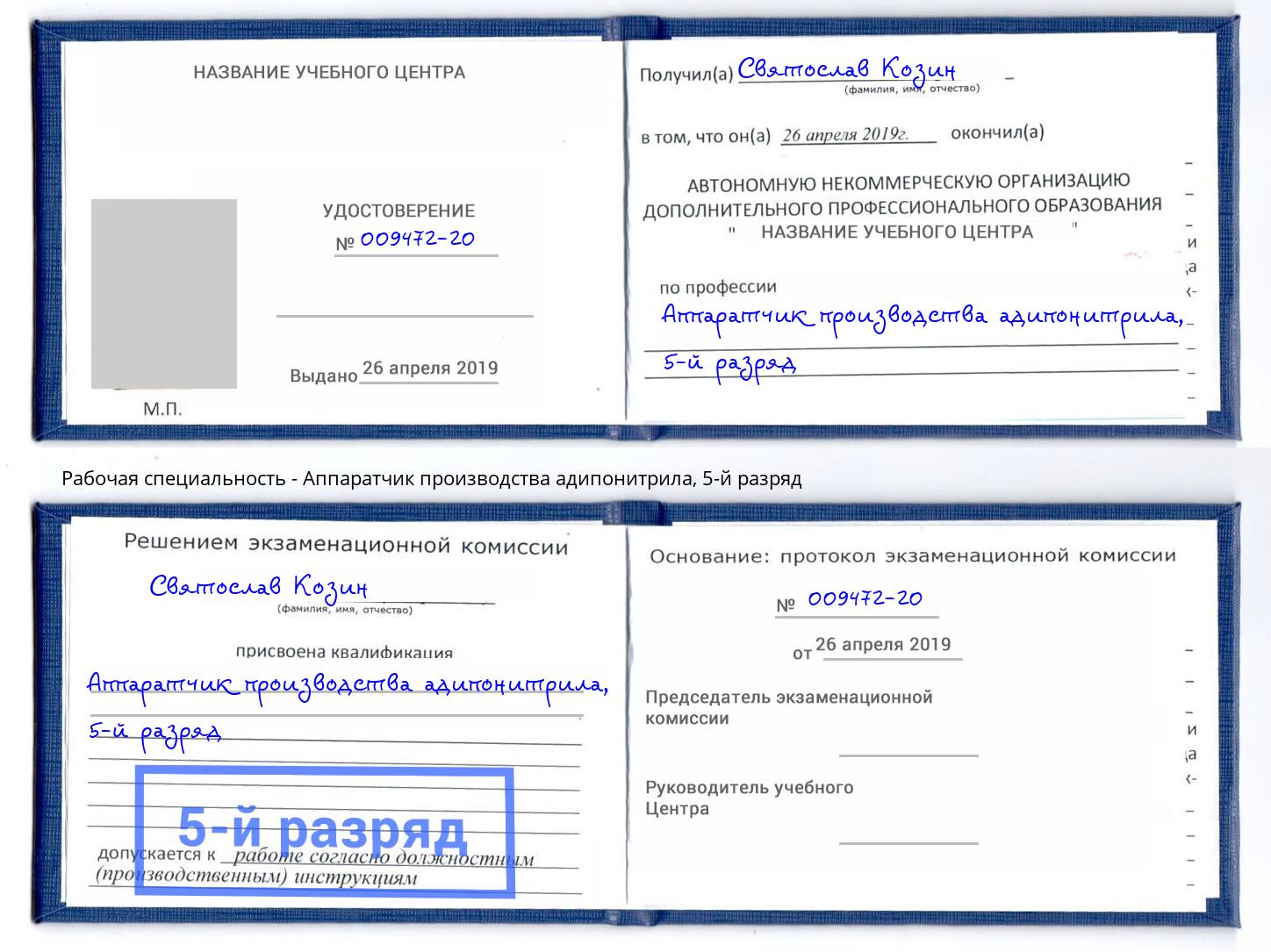 корочка 5-й разряд Аппаратчик производства адипонитрила Саров
