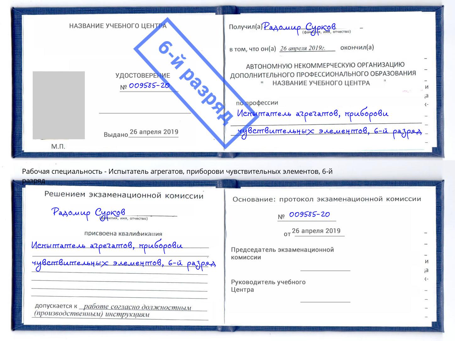 корочка 6-й разряд Испытатель агрегатов, приборови чувствительных элементов Саров