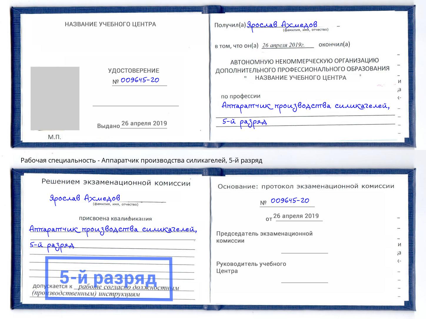 корочка 5-й разряд Аппаратчик производства силикагелей Саров