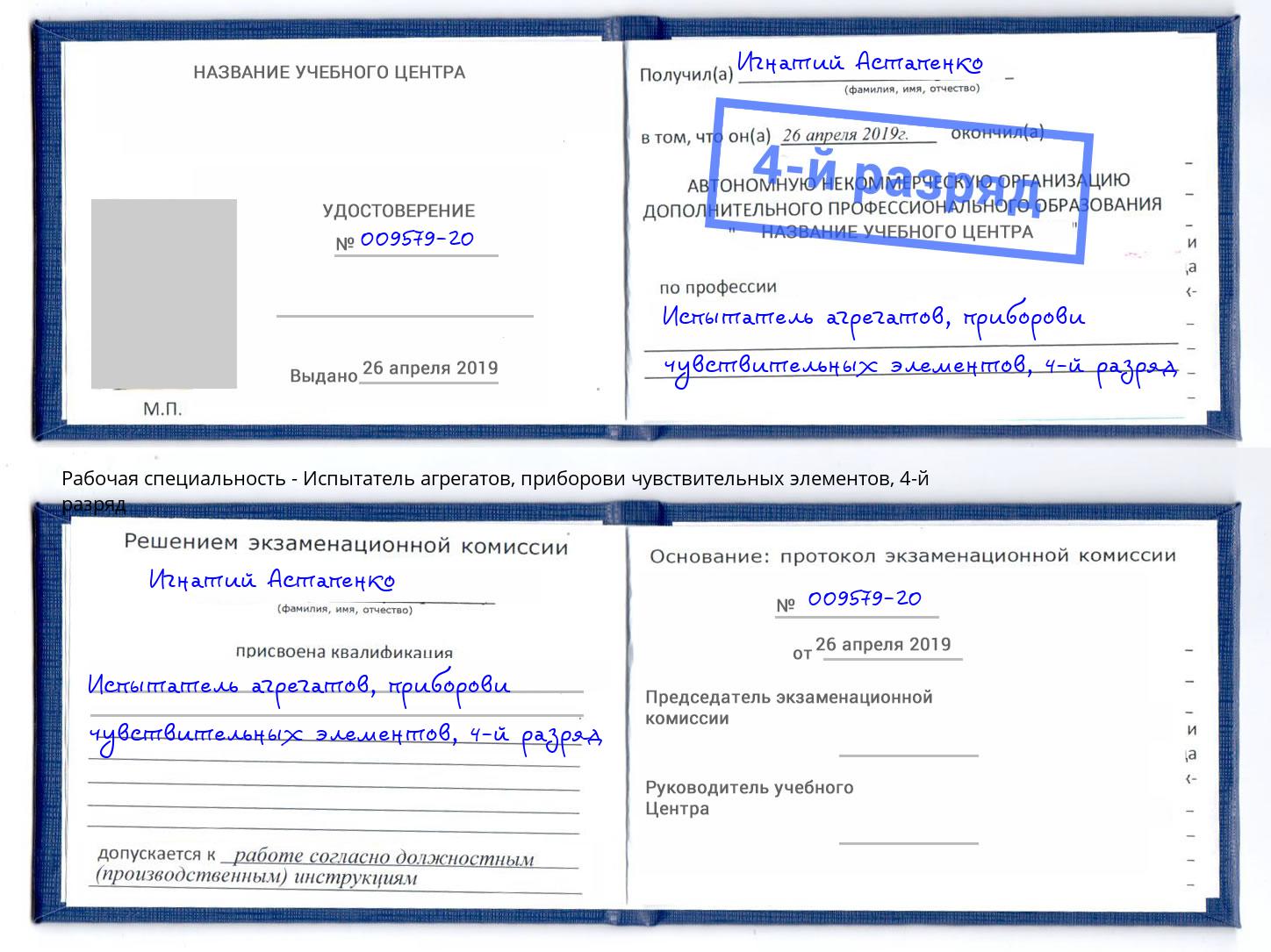корочка 4-й разряд Испытатель агрегатов, приборови чувствительных элементов Саров