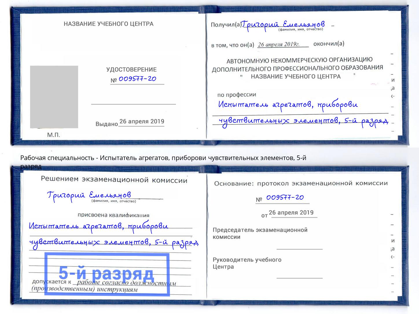 корочка 5-й разряд Испытатель агрегатов, приборови чувствительных элементов Саров