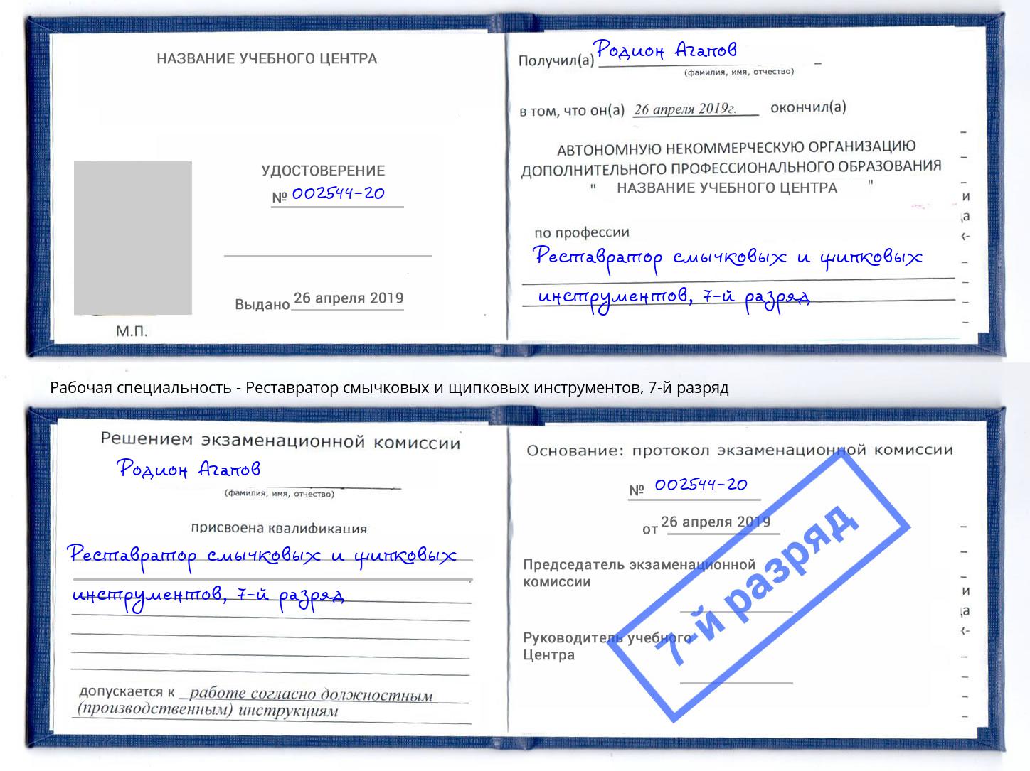 корочка 7-й разряд Реставратор смычковых и щипковых инструментов Саров