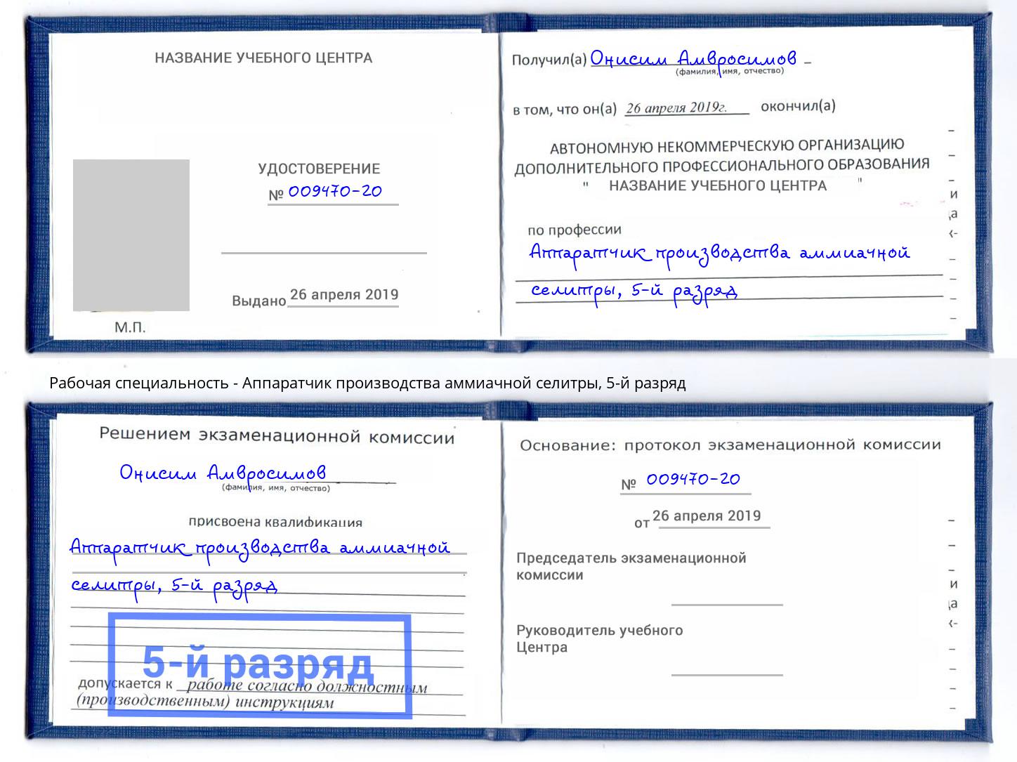 корочка 5-й разряд Аппаратчик производства аммиачной селитры Саров