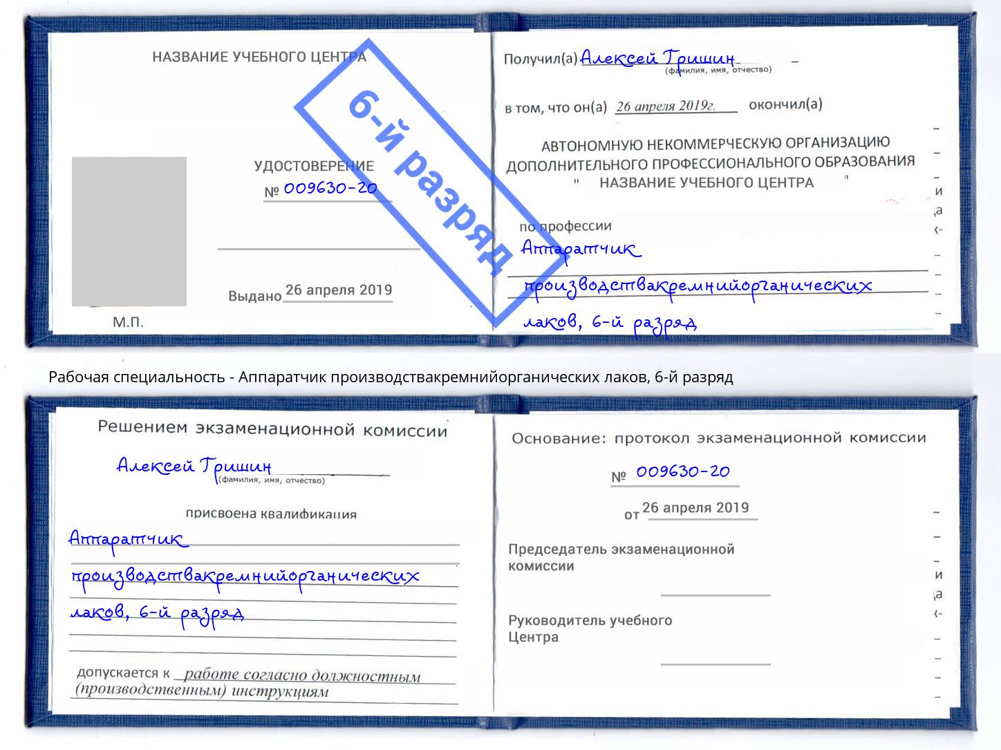 корочка 6-й разряд Аппаратчик производствакремнийорганических лаков Саров