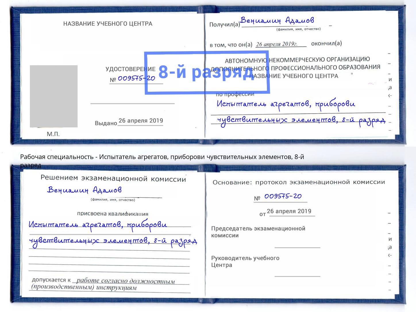 корочка 8-й разряд Испытатель агрегатов, приборови чувствительных элементов Саров